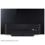 تلویزیون ال جی 65 اینچ مدل OLED65E9PVA - Image 6